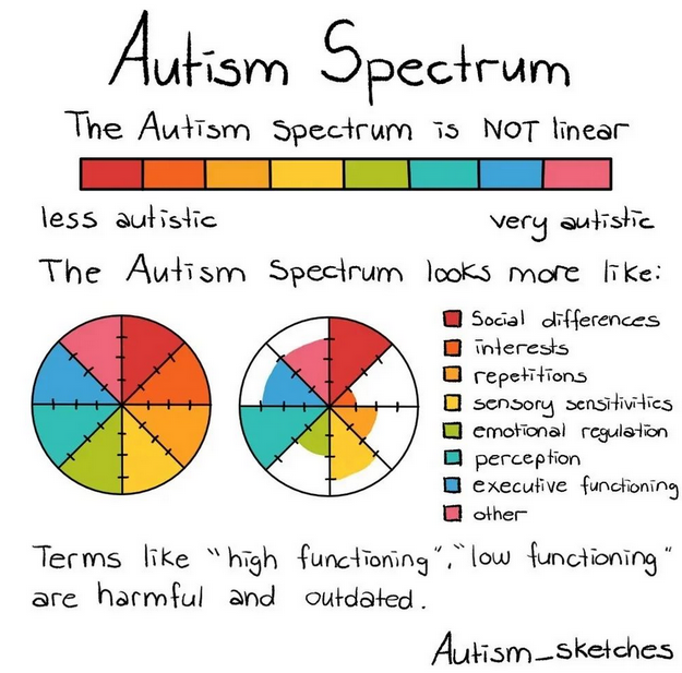 What do people mean when they say “high functioning” or “low ...